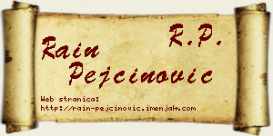 Rain Pejčinović vizit kartica